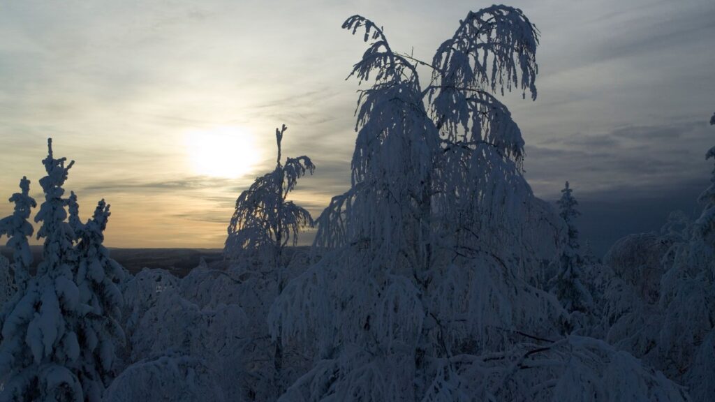 vuokatti